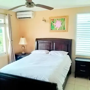 https://ocho-rios-2-bedroom-apartment-flat.hotelsochorios.net